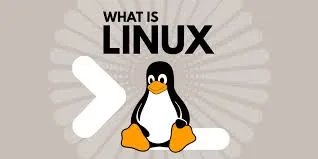 Linux 虚拟机能不能用 VPN？VMware 场景详解（研发环境实测） - 通宝VPN教程